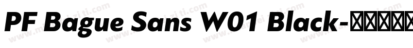 PF Bague Sans W01 Black字体转换